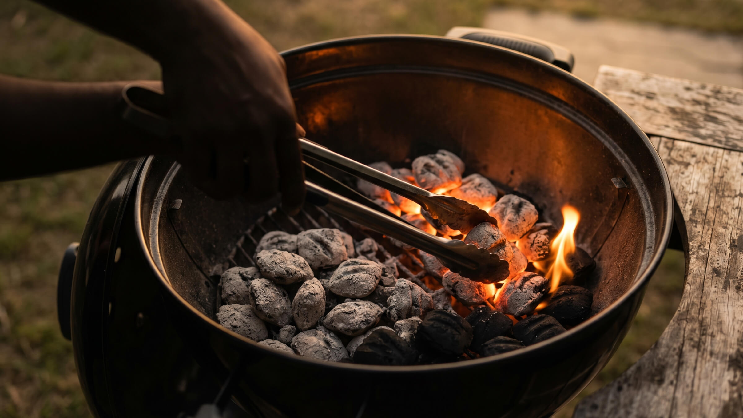 Wood Charcoal Powder: 10 Uses in Agriculture, Cosmetics and Filtration